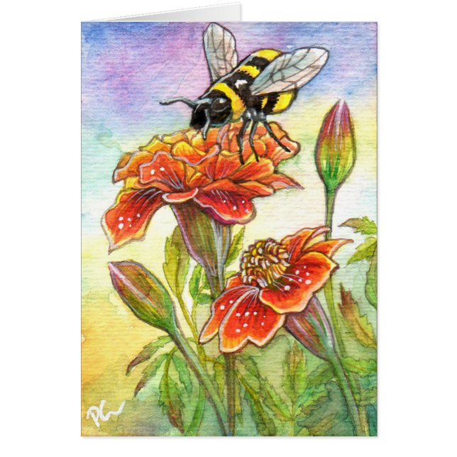 Bumblebee And Marigold (Front)