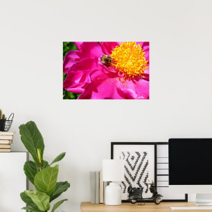 Bumblebee and Peony Poster