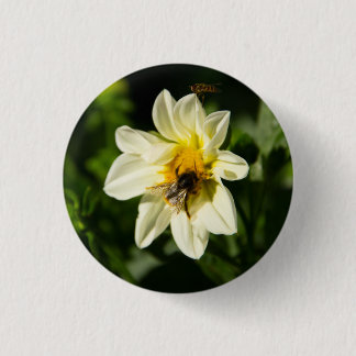 Bumblebee and white dahlia photo 3 cm round badge