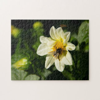 Bumblebee and white dahlia photo jigsaw puzzle
