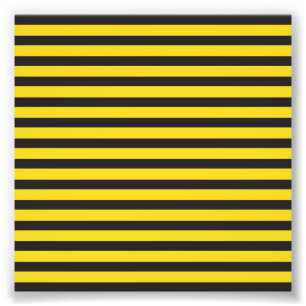 Bumblebee Black Yellow Horizontal Lines Bumble Bee Photo Print