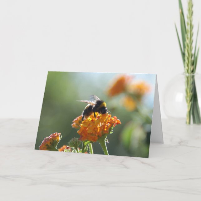BUMBLEBEE Blank Note Card (Front)
