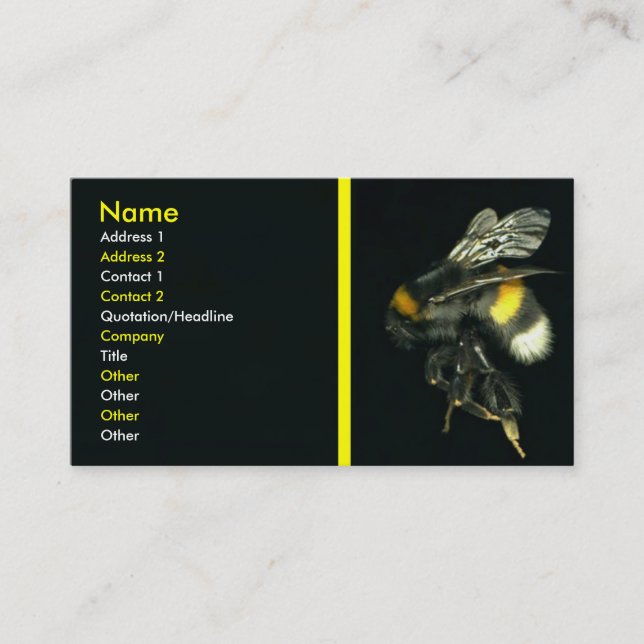 Bumblebee Business Card (Front)