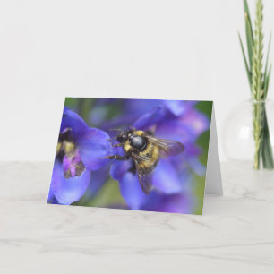 Bumblebee Close-Up Card