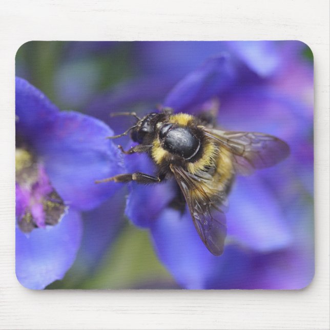 Bumblebee Close-Up Mouse Mat (Front)