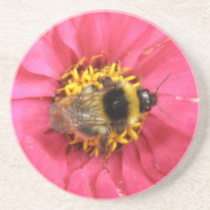 Bumblebee Coasters