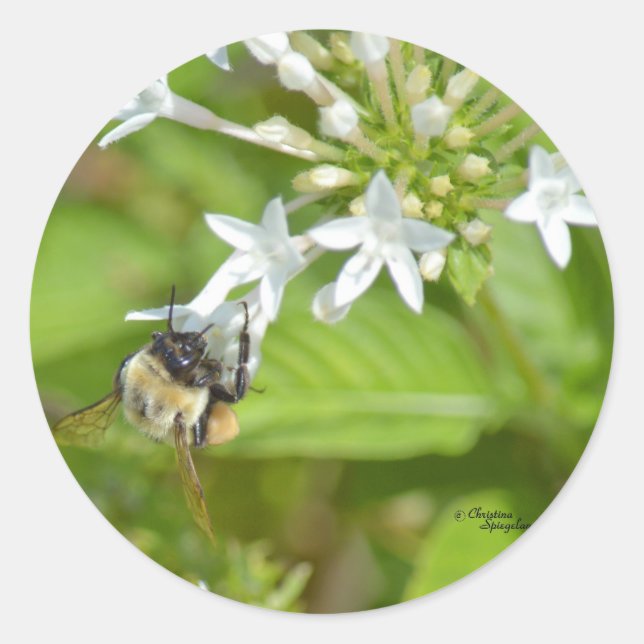 Bumblebee & flowers classic round sticker (Front)