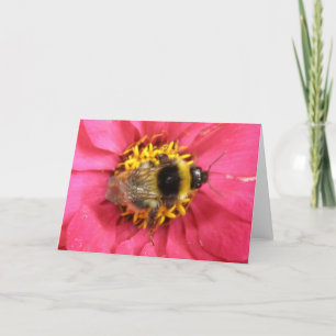Bumblebee Greeting Card