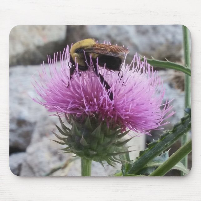 Bumblebee Harvesting a Purple Thristle Flower Mouse Mat (Front)