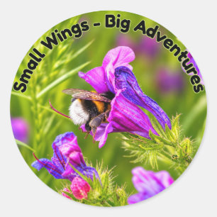 Bumblebee in Bloom Classic Round Sticker