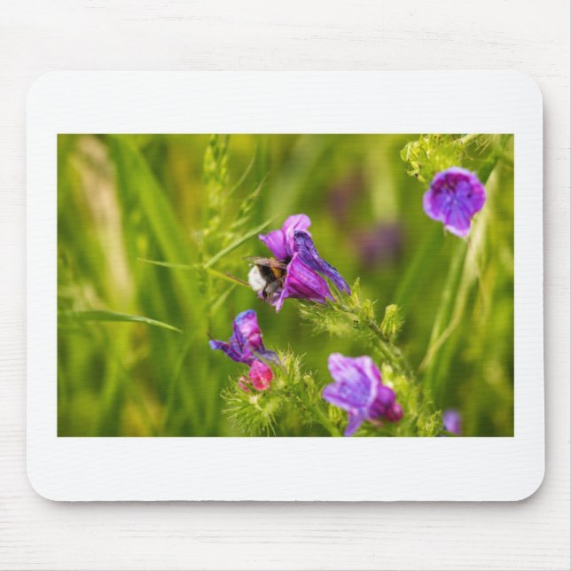 Bumblebee in Bloom  Mouse Mat (Front)
