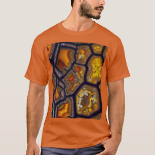 Bumblebee jasper1 T-Shirt