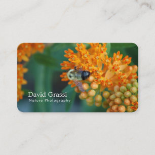 Bumblebee  (Nature) Photographer Business Card