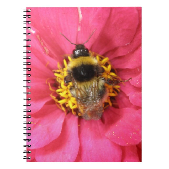 Bumblebee Notebook (Front)
