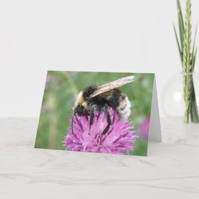 Bumblebee on a Thistle Greeting Card (Front)
