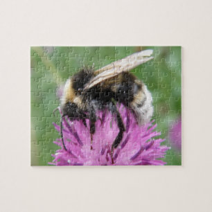 Bumblebee on a Thistle Puzzle
