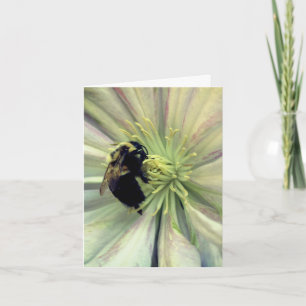 Bumblebee On Clematis Flower Photography  Note Card