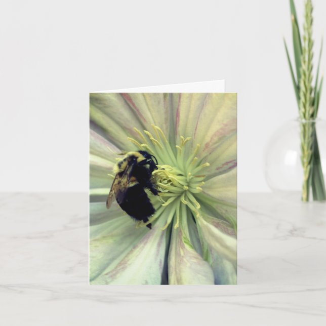 Bumblebee On Clematis Flower Photography  Note Card (Front)
