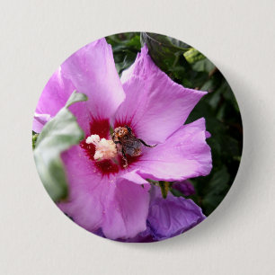 Bumblebee on Hibiscus Flower 7.5 Cm Round Badge