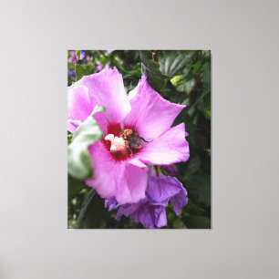 Bumblebee on Hibiscus Flower Canvas Print