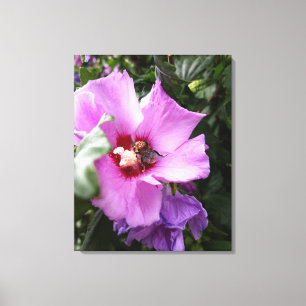 Bumblebee on Hibiscus Flower Canvas Print