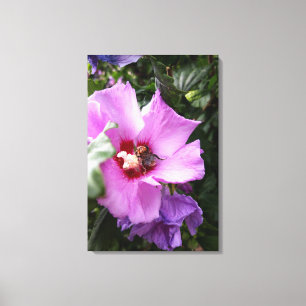 Bumblebee on Hibiscus Flower Canvas Print