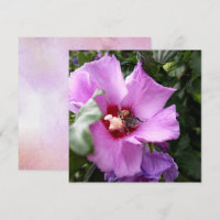Bumblebee on Hibiscus Flower