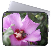 Bumblebee on Hibiscus Flower