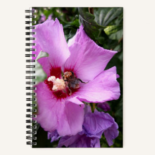Bumblebee on Hibiscus Flower Notebook
