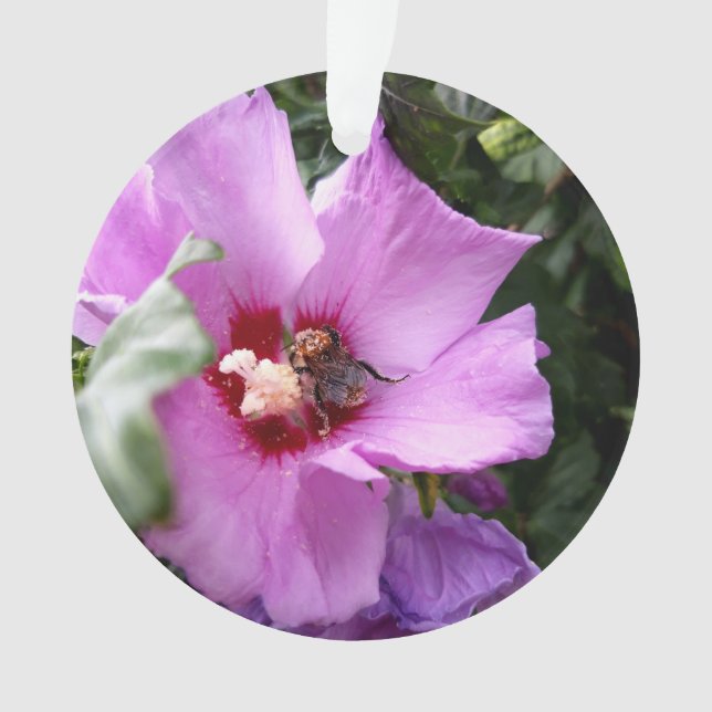 Bumblebee on Hibiscus Flower Ornament (Front)