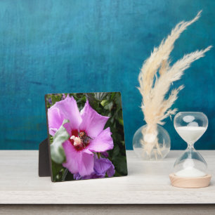 Bumblebee on Hibiscus Flower Plaque