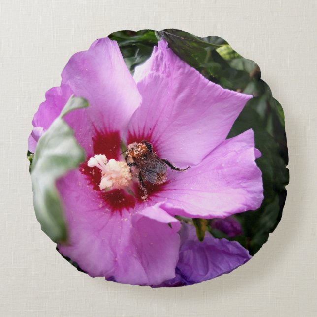Bumblebee on Hibiscus Flower Round Cushion (Front)