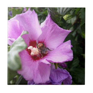 Bumblebee on Hibiscus Flower Tile