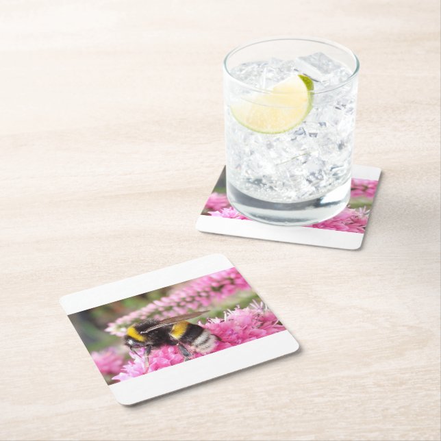 Bumblebee on Pink Blossoms Coaster (Insitu)
