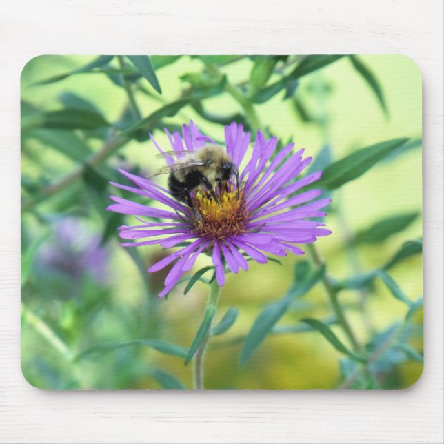 Bumblebee on Purple Daisy Mouse Mat (Front)