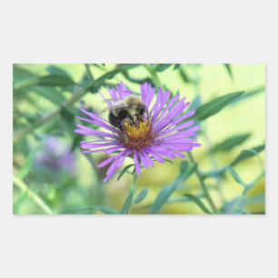 Bumblebee on Purple Daisy Rectangular Sticker