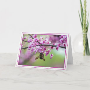 Bumblebee on Redbud Blossoms Card