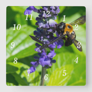 Bumblebee On Salvia Wall Clock