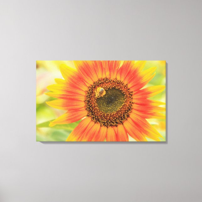 Bumblebee on sunflower, Community Garden Canvas Print (Front)