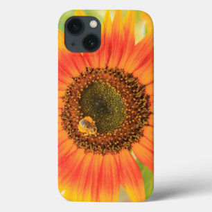 Bumblebee on sunflower, Community Garden iPhone 13 Case