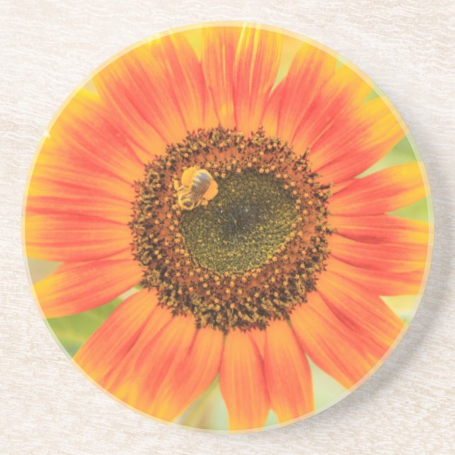 Bumblebee on sunflower, Community Garden Coaster (Front)