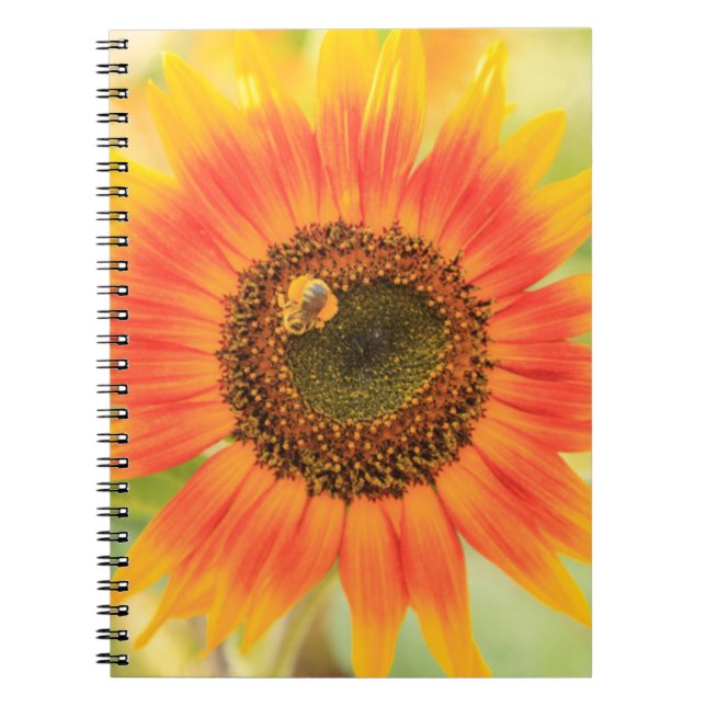 Bumblebee on sunflower, Community Garden Notebook (Front)
