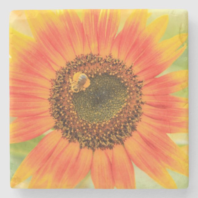 Bumblebee on sunflower, Community Garden Stone Coaster (Front)
