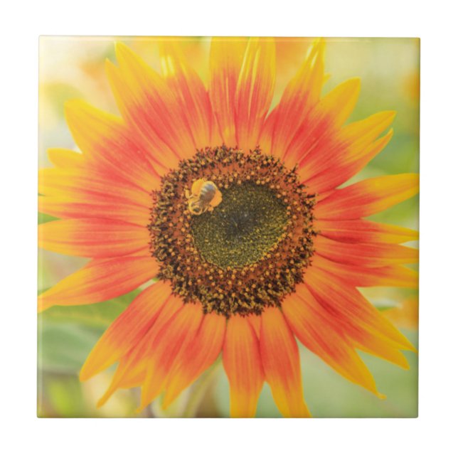 Bumblebee on sunflower, Community Garden Tile (Front)