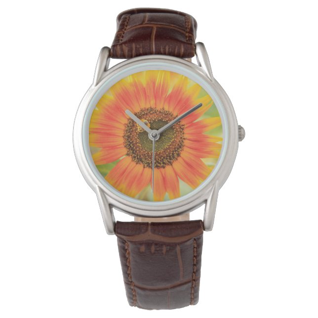 Bumblebee on sunflower, Community Garden Watch (Front)