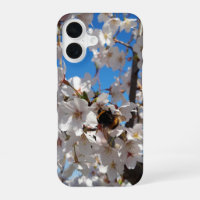 Bumblebee on wild cherry bloom