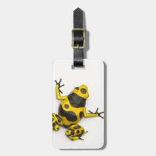 Bumblebee Poison Dart Frog Luggage Tag