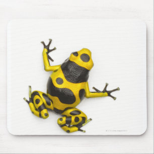 Bumblebee Poison Dart Frog Mouse Mat