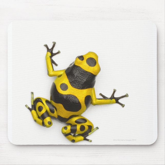Bumblebee Poison Dart Frog Mouse Mat (Front)