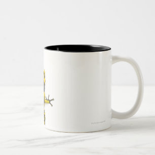 Bumblebee Poison Dart Frog Two-Tone Coffee Mug